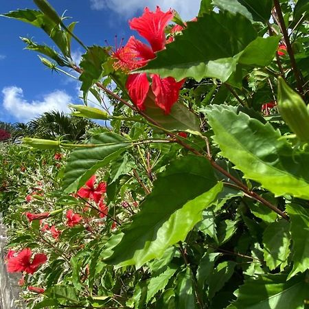 Locations Morne Aux Vents Fond Boucher Exterior foto