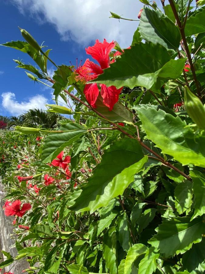 Locations Morne Aux Vents Fond Boucher Exterior foto