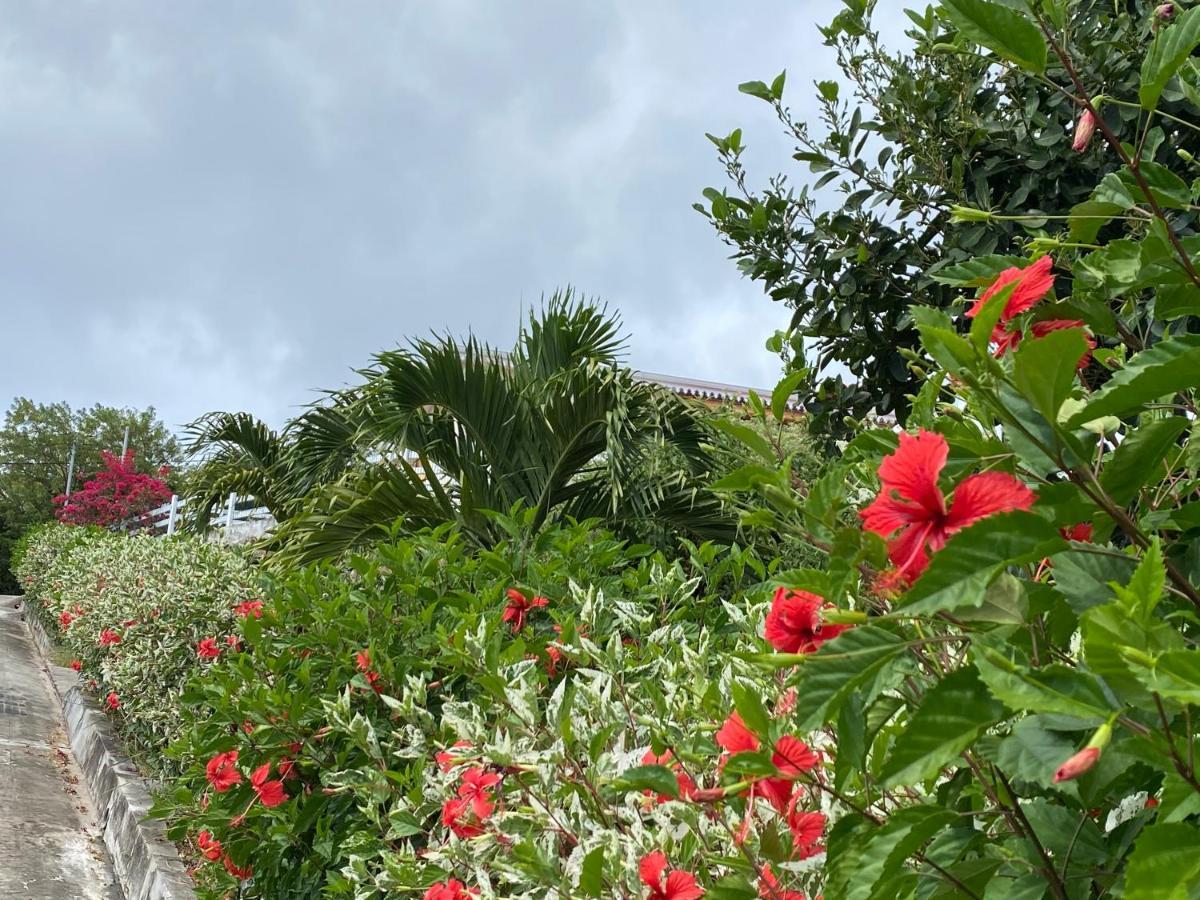 Locations Morne Aux Vents Fond Boucher Exterior foto